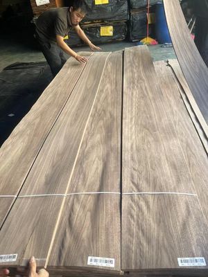 American Natural Black Walnut Crown Cut / Plain Cut Finer Sheet For Plywood (Avrupalı Kara Ceviz Tacı Kesilmiş / Plain Cut Finer Sheet)