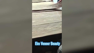 Karaağaç Taç kesim kaplama