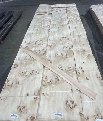Doğal Kesilmiş Poplar Burl Fener Yaprakları Mobilya Dekorasyonu için Bir Sınıf