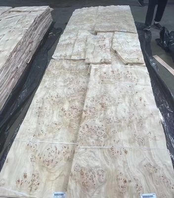 Doğal Kesilmiş Poplar Burl Fener Yaprakları Mobilya Dekorasyonu için Bir Sınıf