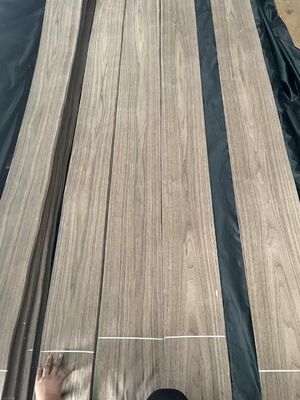 Doğal dilimlenmiş kesilmiş Amerikan siyah ceviz plain cut veneer sheet for plywood