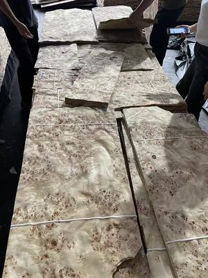 Mobilya Dekorasyonu için Yüksek Kaliteli Mappa Burl Veneer Yaprak