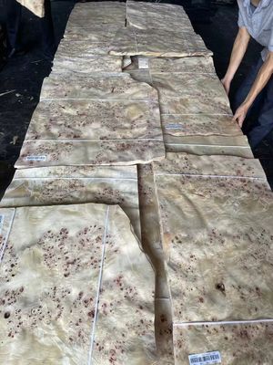 Mobilya Dekorasyonu için Yüksek Kaliteli Mappa Burl Veneer Yaprak