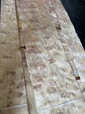 Mobilya Dekorasyonu için Yüksek Kaliteli Mappa Burl Veneer Yaprak