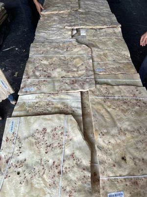 Mobilya Dekorasyonu için Yüksek Kaliteli Mappa Burl Veneer Yaprak