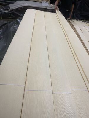 2500*640 Mm Yatak Odası Mobilyaları TV Arka Duvarı için Kül Kaplama