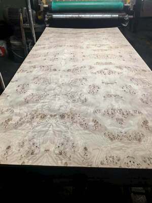 Doğal Ahşap Mappa Burl Veneer Yaprakı, Mobilya Dekorasyonu için dilimlenmiş kesim ve % 12-15 nem
