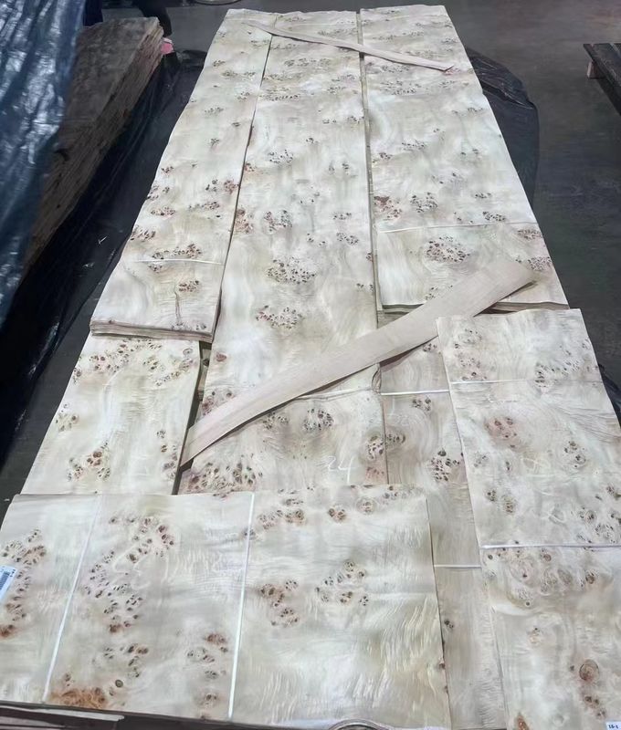 Doğal Kesilmiş Poplar Burl Fener Yaprakları Mobilya Dekorasyonu için Bir Sınıf